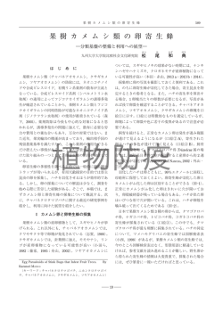 果樹カメムシ類の卵寄生蜂