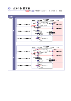 虹本7巻 訂正表