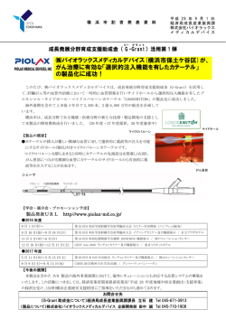 記者発表資料（PDF形式 921KB）