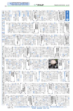 凡 例