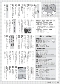P20（PDF 342KB）