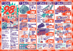 上記チラシが表示されない場合はこちら（PDF版）