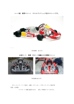 レース場 推奨マシーン ビレルパシフィック社のマシーンです。 公道カート
