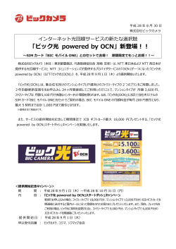 「ビック光 powered by OCN」新登場！！