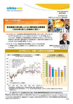 資源ファンド（株式と通貨）ブラジルレアル・コース／南アフリカランド