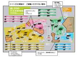 PowerPoint プレゼンテーション