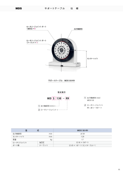 9ポート