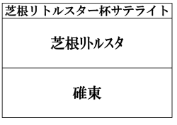 芝根リトルスター杯サテライト