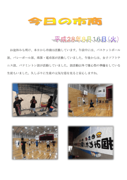 H28/08/16 今日の市商