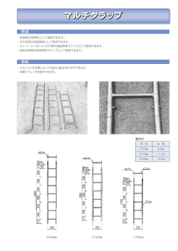 マルチタラップ