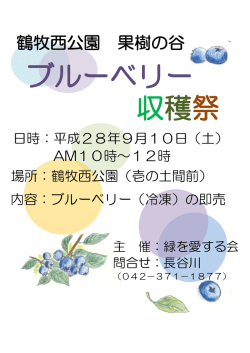 ブルーベリー収穫祭 案内チラシ （PDF形式 92.4KB）