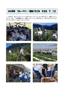 H28.7.13 4学年 ブルーベリー・夏秋いちご