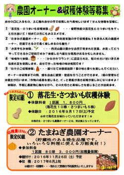 資料PDFファイル