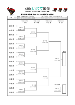 第71回国民体育大会（サッカー競技成年男子）
