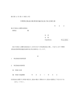 中間特定助成対象事業実施状況及び収支報告書