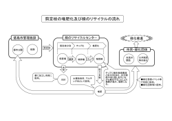 剪定枝の堆肥化及び緑のリサイクルの流れ