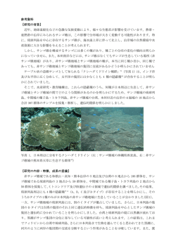 詳細資料