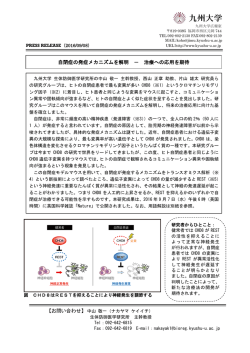 自閉症の発症メカニズムを解明 － 治療への応用を期待
