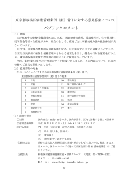 （案）骨子