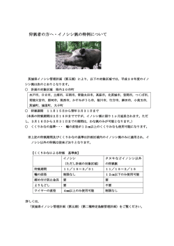 狩猟者の方へ・イノシシ猟の特例について