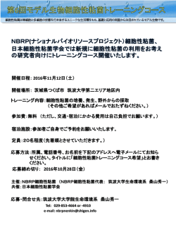PowerPoint プレゼンテーション