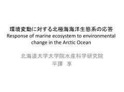 「環境変動に対する北極海海洋生態系の応答」 平譯享