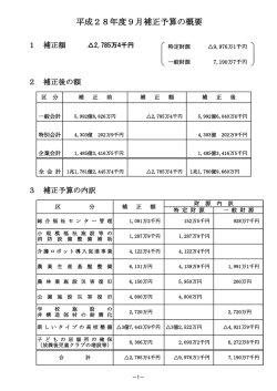 補正予算の概要(PDF文書)