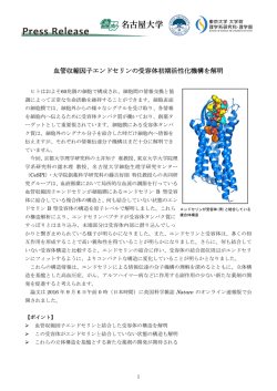 血管収縮因子エンドセリンの受容体初期活性化機構を解明