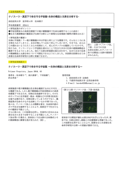ナノスーツ・真空下で命を守る宇宙服