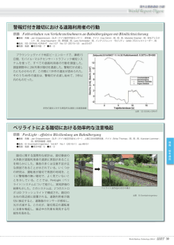 警報灯付き踏切における道路利用者の行動