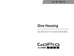 Dive Housing