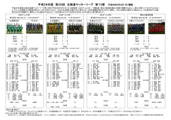 平成28年度 第39回 北海道サッカーリーグ 第10節