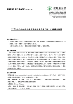 アブラムシの体色の多型を維持する全く新しい機構を発見