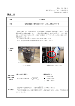 区分：Ⅲ - 東京電力
