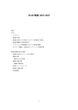 MAB戦略（2015-2025）〔仮訳〕 （PDF:577KB）