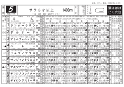 サラ3才以上