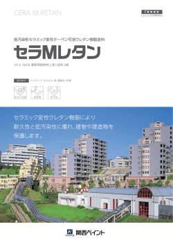 セラMレタン（243）