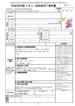 平成28年度 トモニー助成金完了報告書 - 社会福祉法人 横浜市南区社会