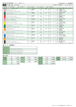 2R サラ系一般 C3六七 コーナー通過順位 払戻金