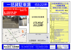 一括貸駐車場 (53.22坪)