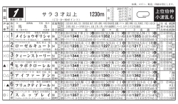 サラ3才以上