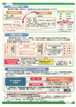 制度拡充チラシ2