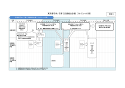 資料5 東京都子供・子育て支援総合計画スケジュール（案）（PDF：52KB）