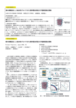 蜂の巣構造をした吸水性ゲルでできた燃料電池用高分子