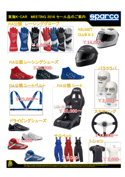 FIA - GT Car プロデュース