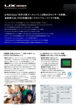 記録フォーマットPDF