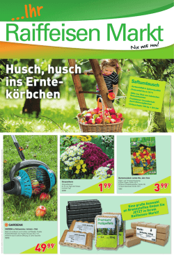 Husch, husch ins Ernte- k&ouml;rbchen