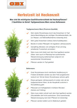Heckenqualität