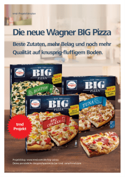 BIG Pizza Projektfahrplan
