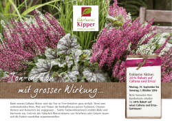 Herbstkarte - G&auml;rtnerei Kipper AG